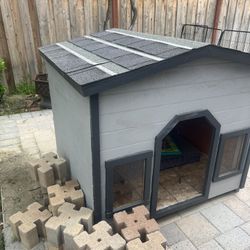 Dog House