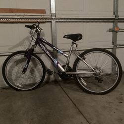 RoadMaster Mt. Sport SX Bike