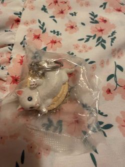 Sushi Cat key