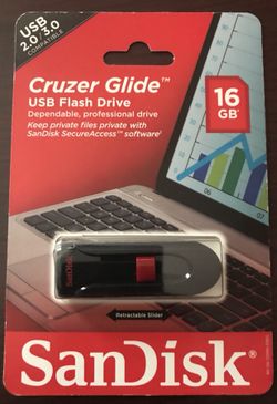 SanDisk USB Flash Drive