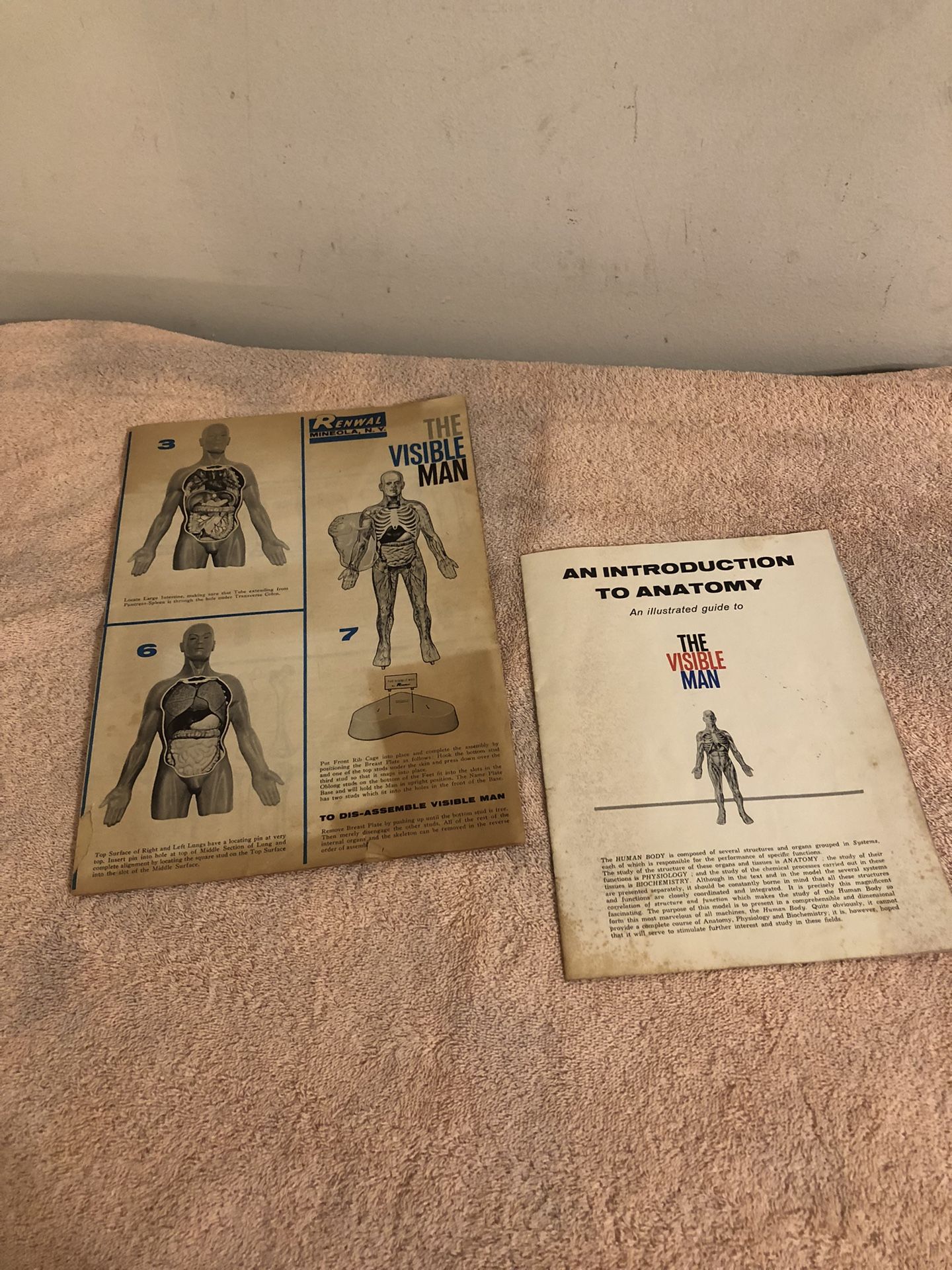 Vintage 1959 Renewal The Visible Man Instructions & Illustrated Handbook Anatomy