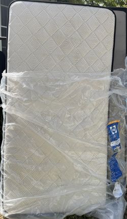 Twin Mattress & Box Spring