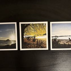 Nature Theme Photography Prints - 4 Inch By 4 Inch Thick Cardstock