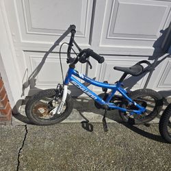 Bike 14"