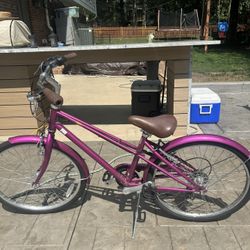 Schwinn Mifflin hybrid bike