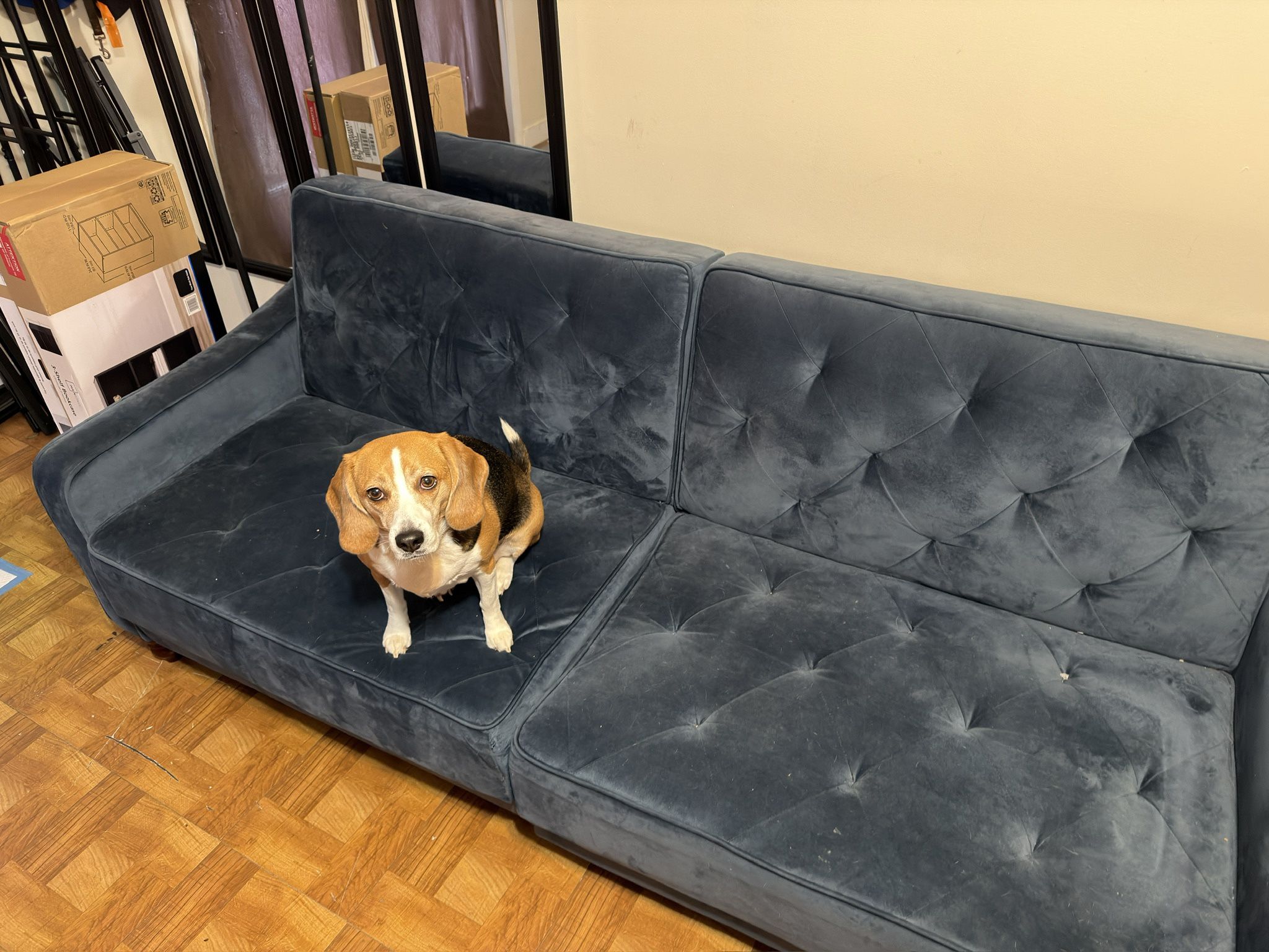Blue Futon Couch