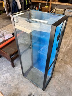 55 Gallon Fish Tank And All You Need To Run It 