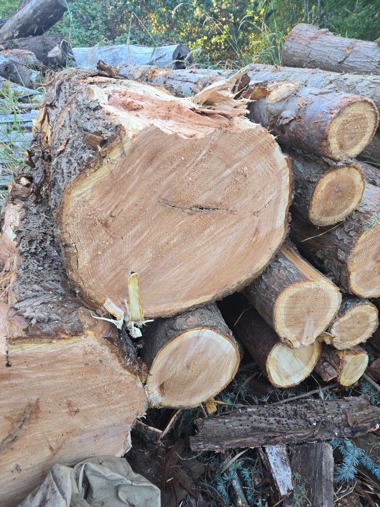 Cedar Log