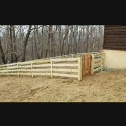 Paddock Fence