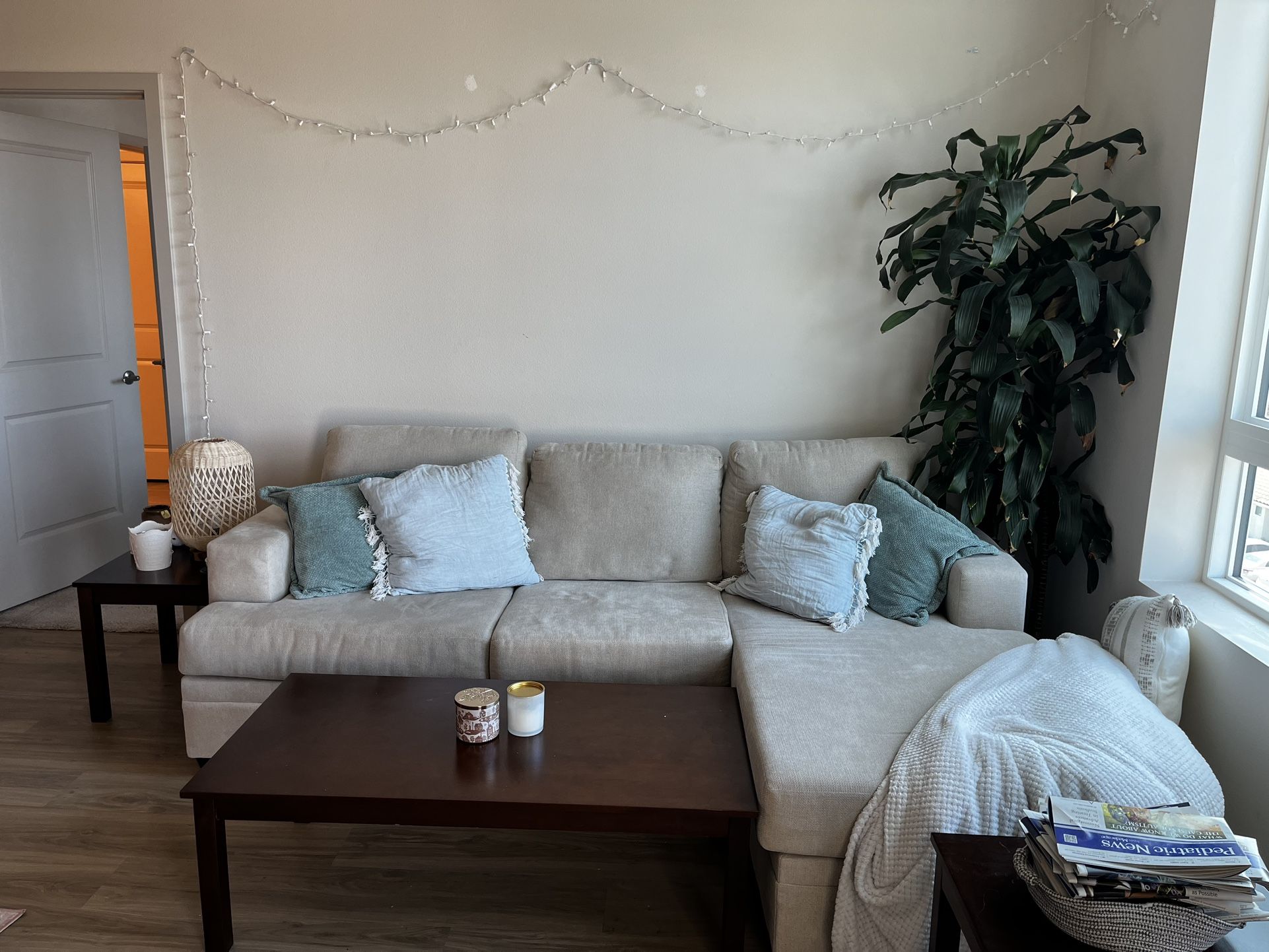 Living Room Set: Couch, Coffee Table, Side Tables, Pillows, Plant