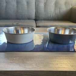 Magnetic Dog Bowl