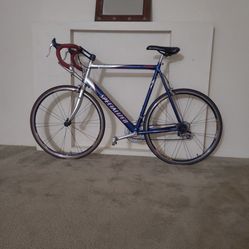 Specialized Geared Bike