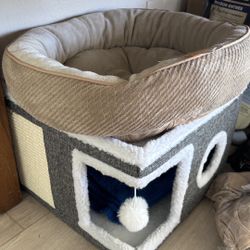 Two Cattery