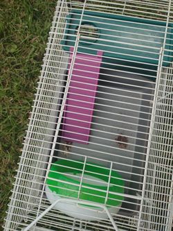 house for animals high 11 long 24 broad 11