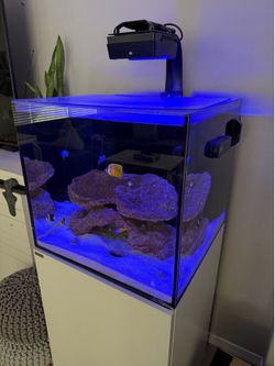 60 Gallon Waterbox Reef Aquarium Setup – Complete System – $1,000