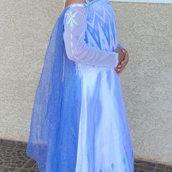 Disney's Frozen Elsa Dress Costume 4-6T 
