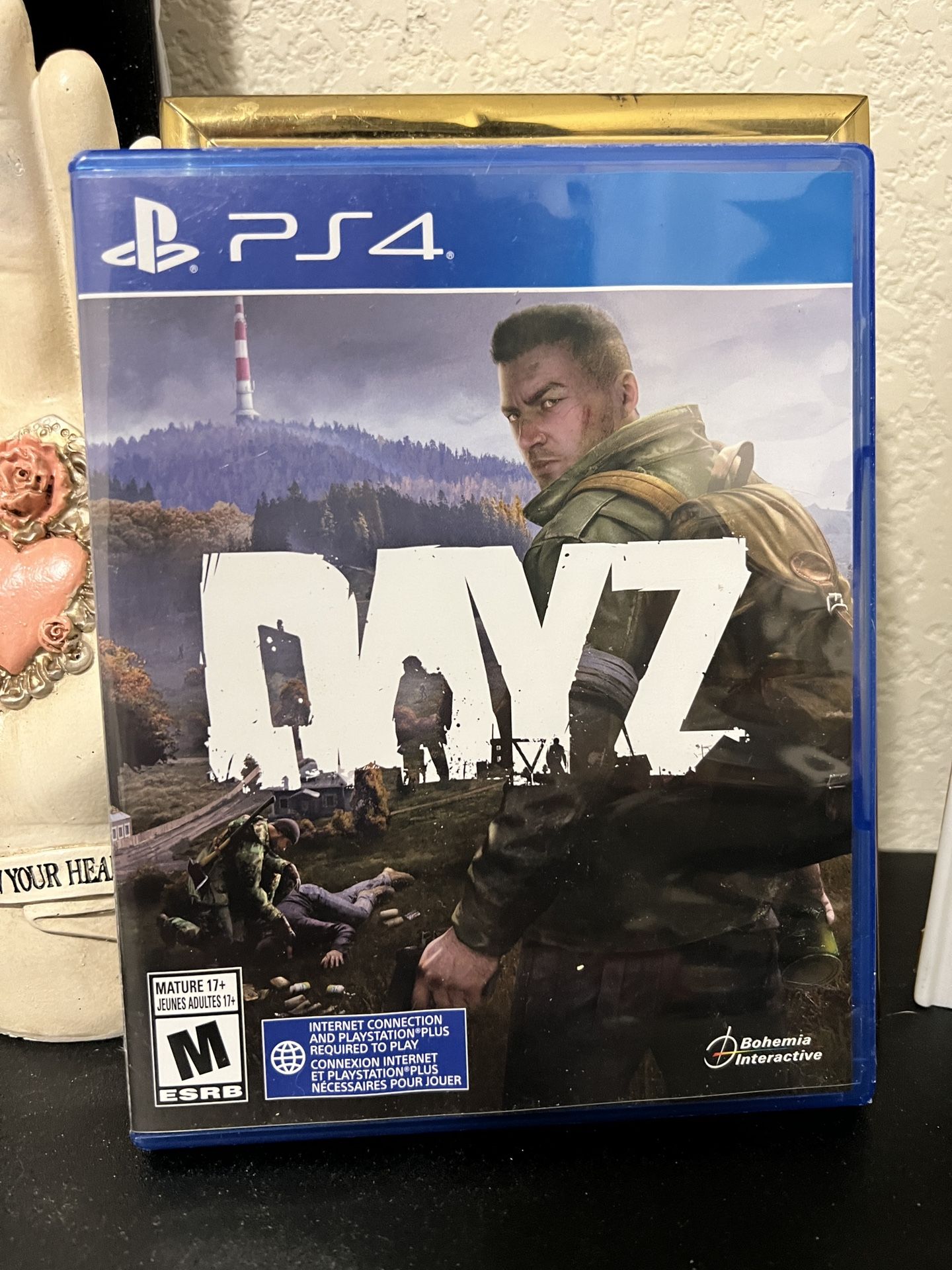 PS4-5 DayZ Disc Game