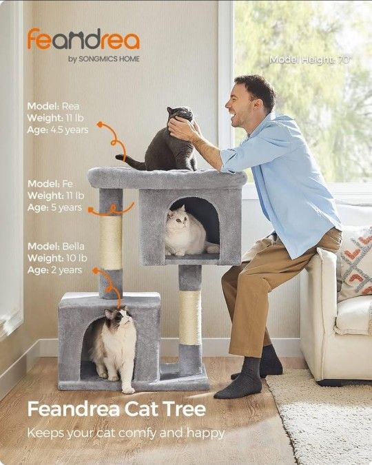 XL, Cat Condo for Extra Large Cats up to 44 lb, Large Cat Perch,✨😺😺😺