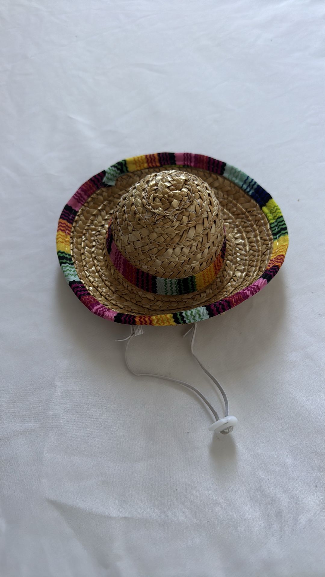 Dog Sombrero