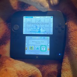 2DS