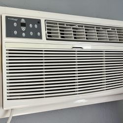 Air Conditioner - 12,000 BTUs In-Wall w Heat & Dehumidifier 