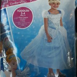 New Cinderella costume