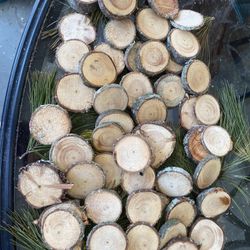 Balsam Fir pine Wood Log Slices 50 Ct 2-3”