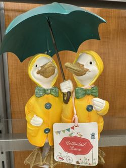 Brand New Cottontail lane Figuring Brand New 