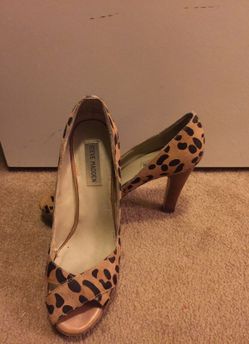Leopard print Steve Madden