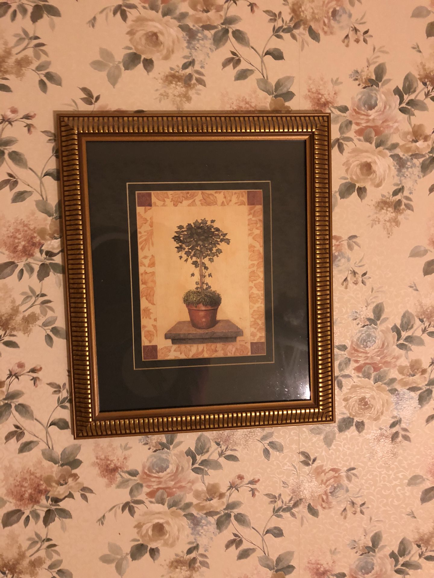 Framed ivy topiary print