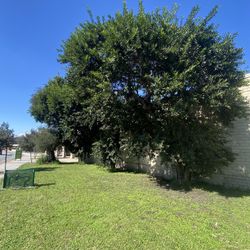 Do You Need Remove ? Removal ?