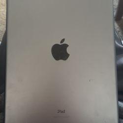 Apple iPad 