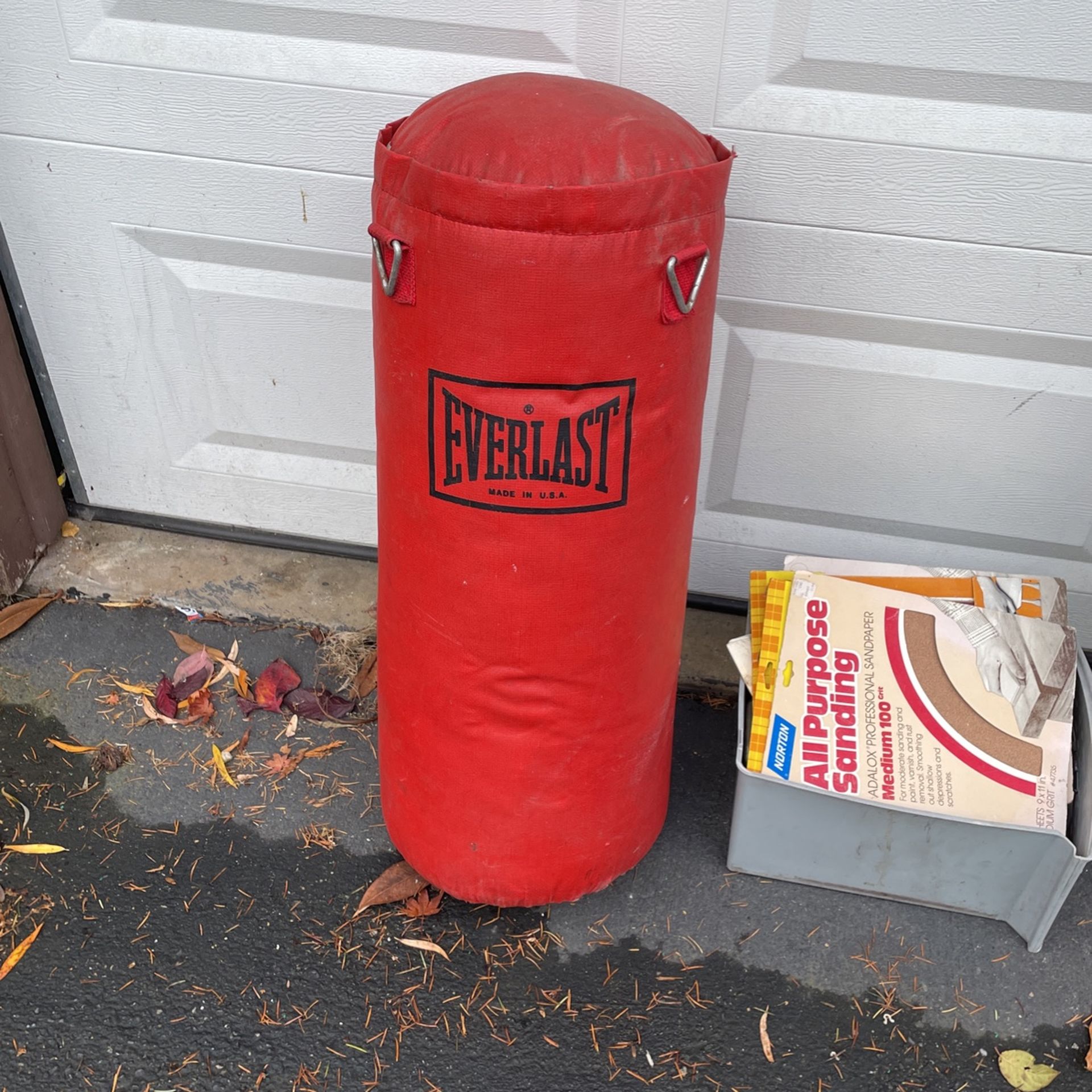 Everlast Punching Bag 