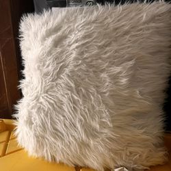 Faux Fur Pillows  Set Of 2