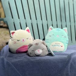 Squishmallow Cat Bundle 