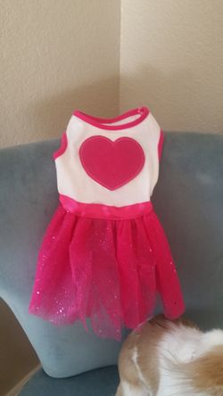 Dog small dress $2