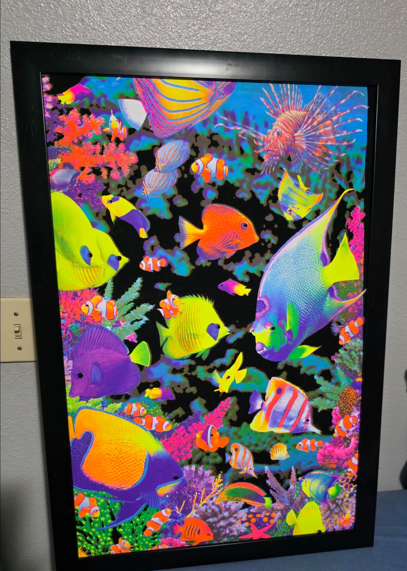 Fish Frame