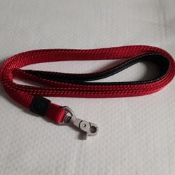 New Leash For Dog 