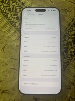 iPhone 17 pro max