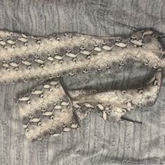 Snake Skin Thigh High Boots