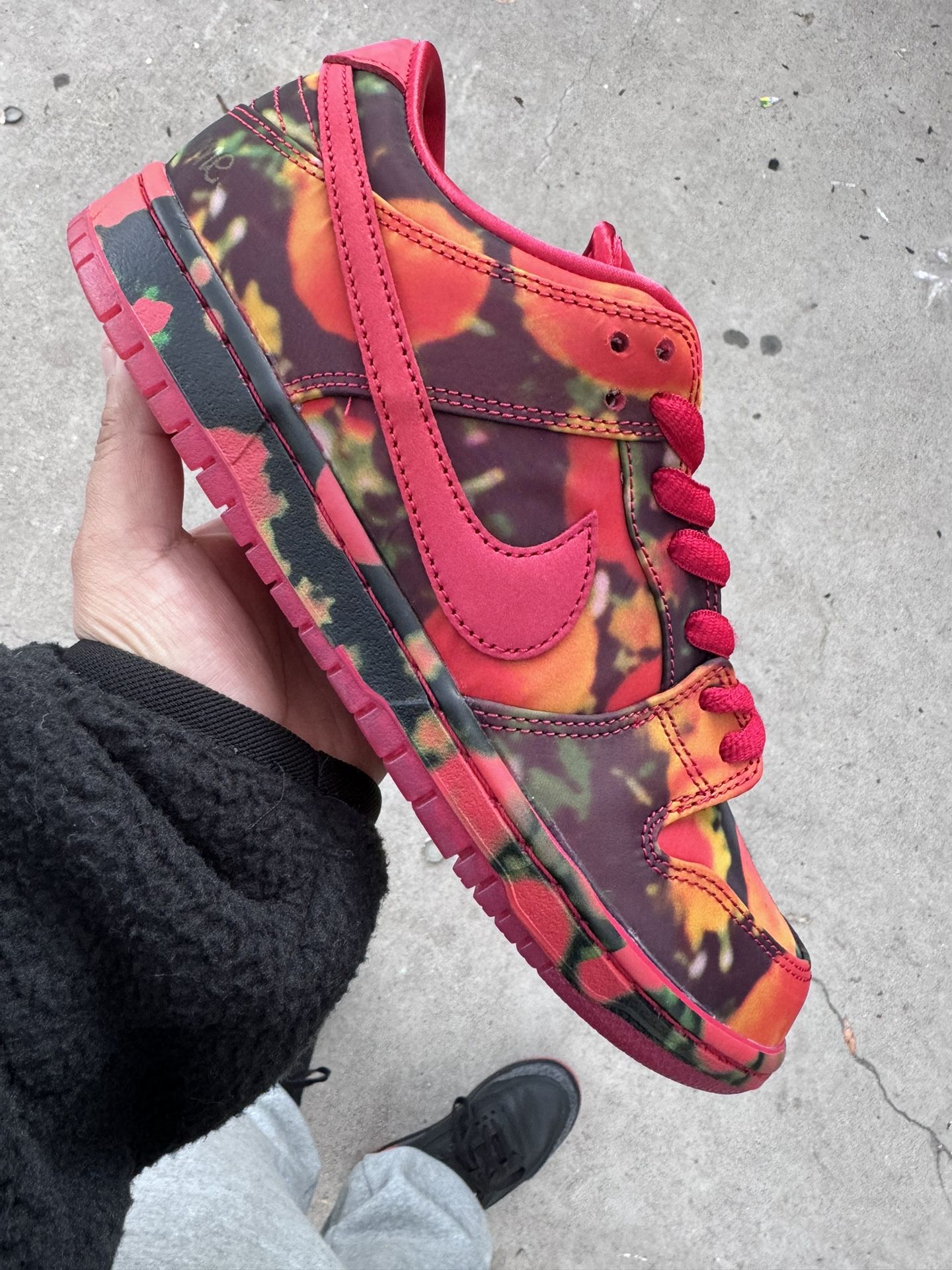 Nike Sb “wizard Of Oz “