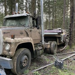 1979 Ford L 9000 3206 Cat Diesel Engine 