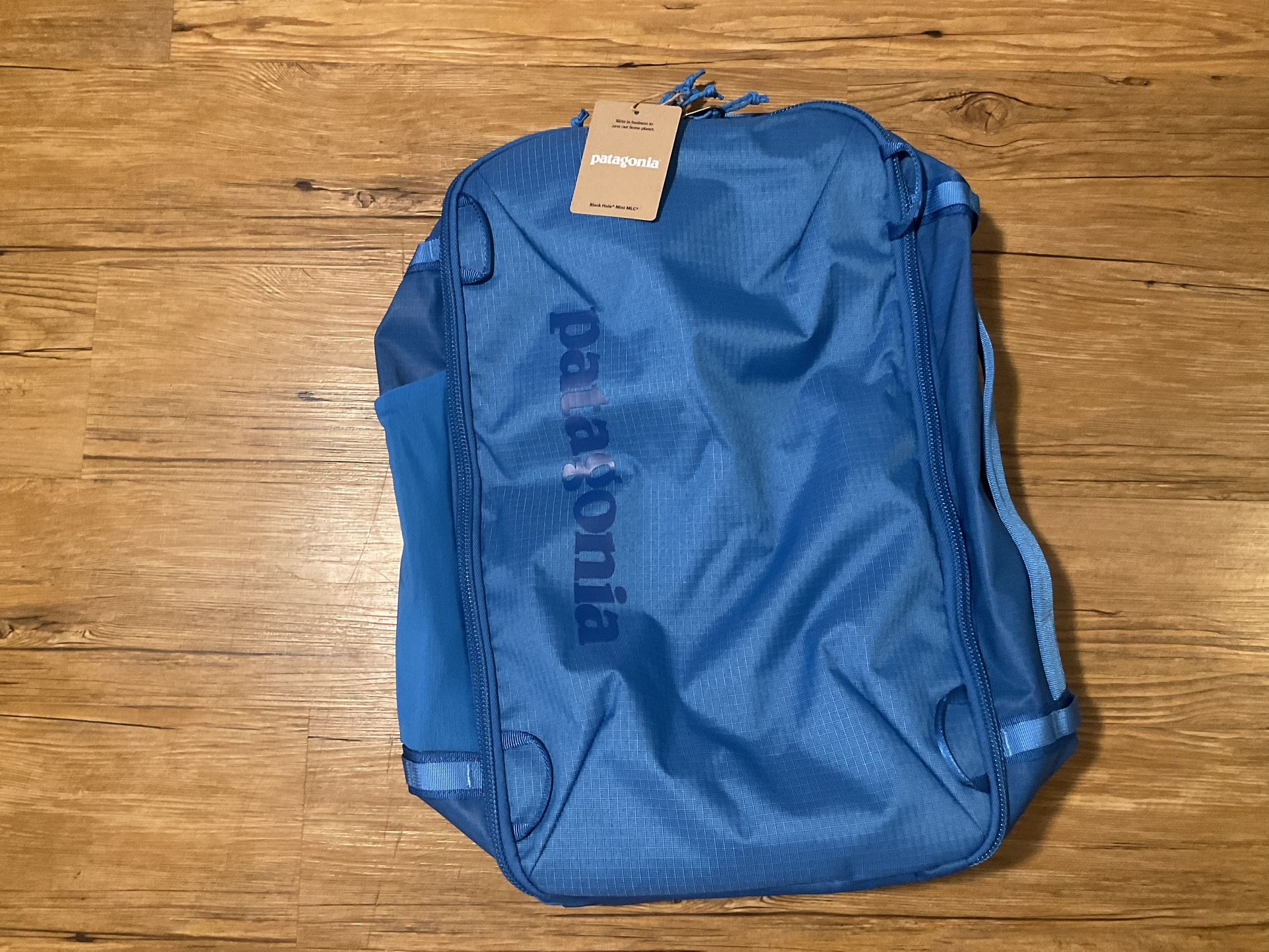 Patagonia Black Hole Mini MCL 30L Back Pack