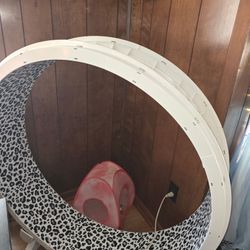 Cat Treadmill