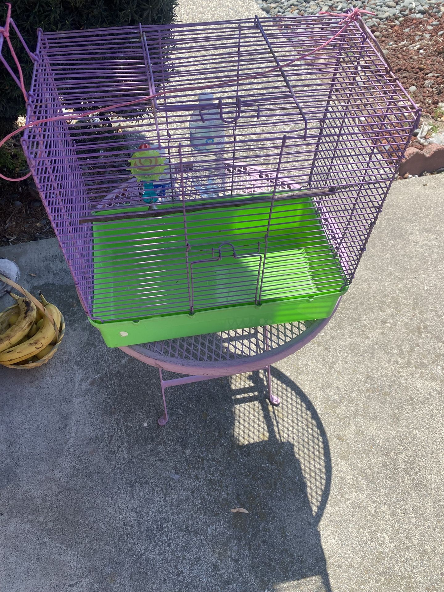 Small Birds Cage