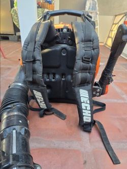 Echo backpack leaf blower OBO
