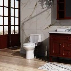 (Laporte White Dual Flush Elongated Chair Height 1-Piece Toilet, 12-in Rough-In, WaterSense 1.6 GPF). 
