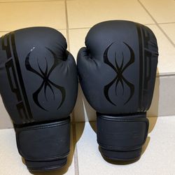 14oz Sting Boxing Gloves 