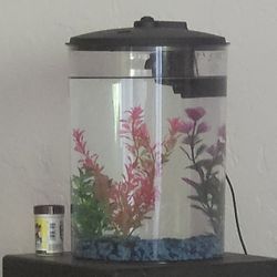2 gallon fish tank.