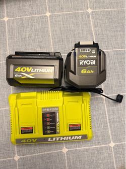 RYOBI 40V Lithium-Ion 6.0 Ah High Capacity Battery (2-Pack) w/duel charger